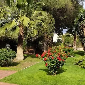 Zeus Cagliari
